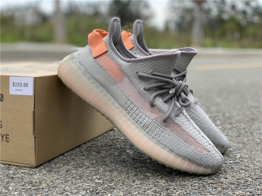 Yeezy 350 V2 'True Form'