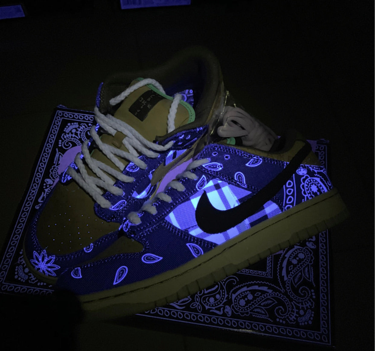 SB Dunk Low Travis Scott