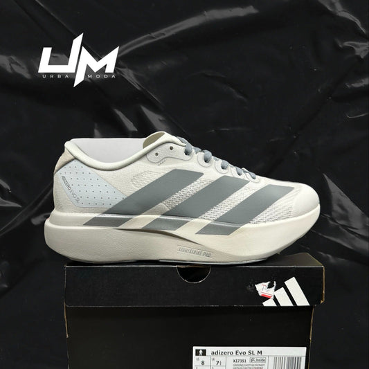 Adidas Adizero Evo SL Grey Bone