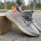 Yeezy 350 V2 'True Form'